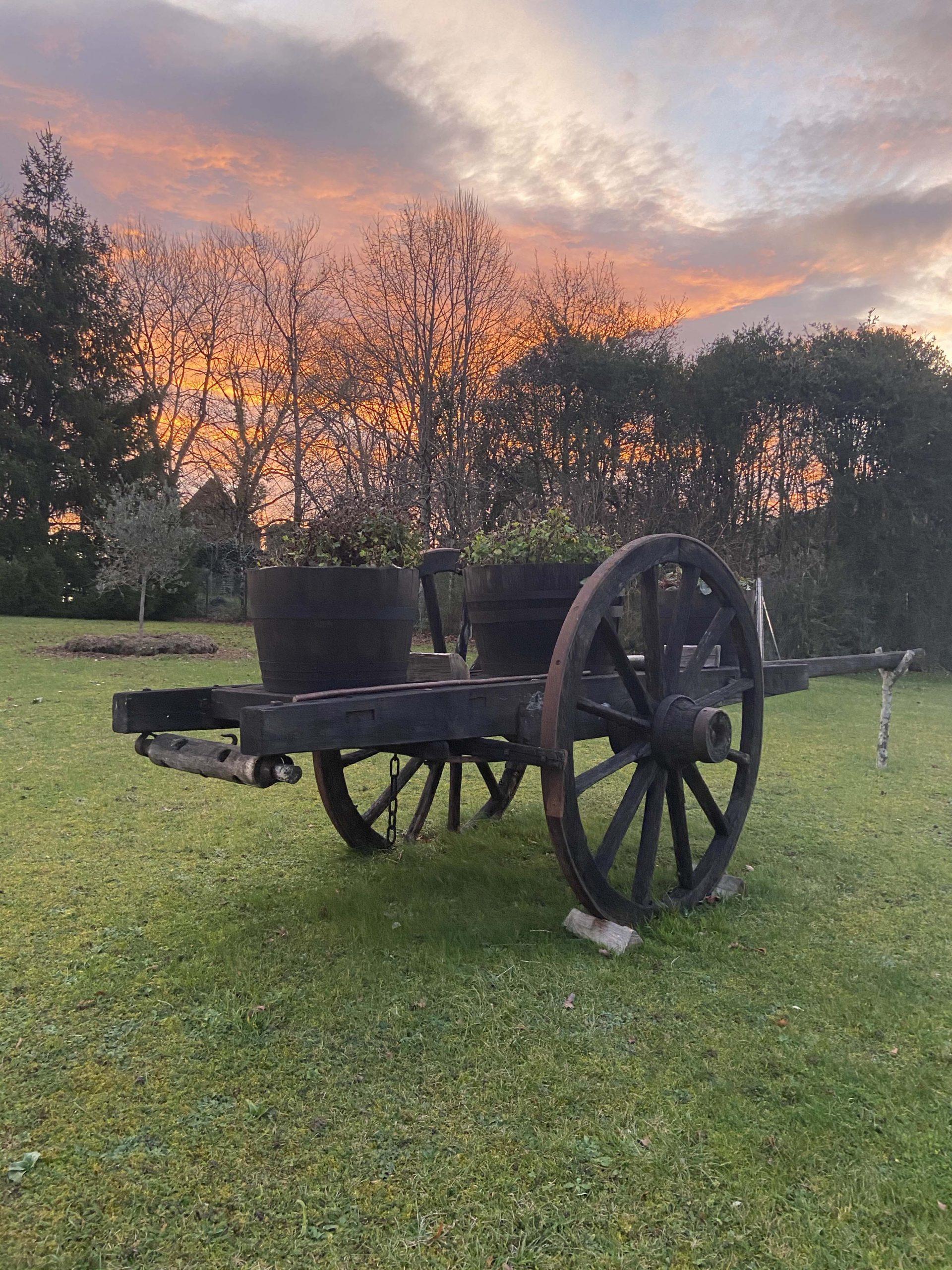 cart under sunset