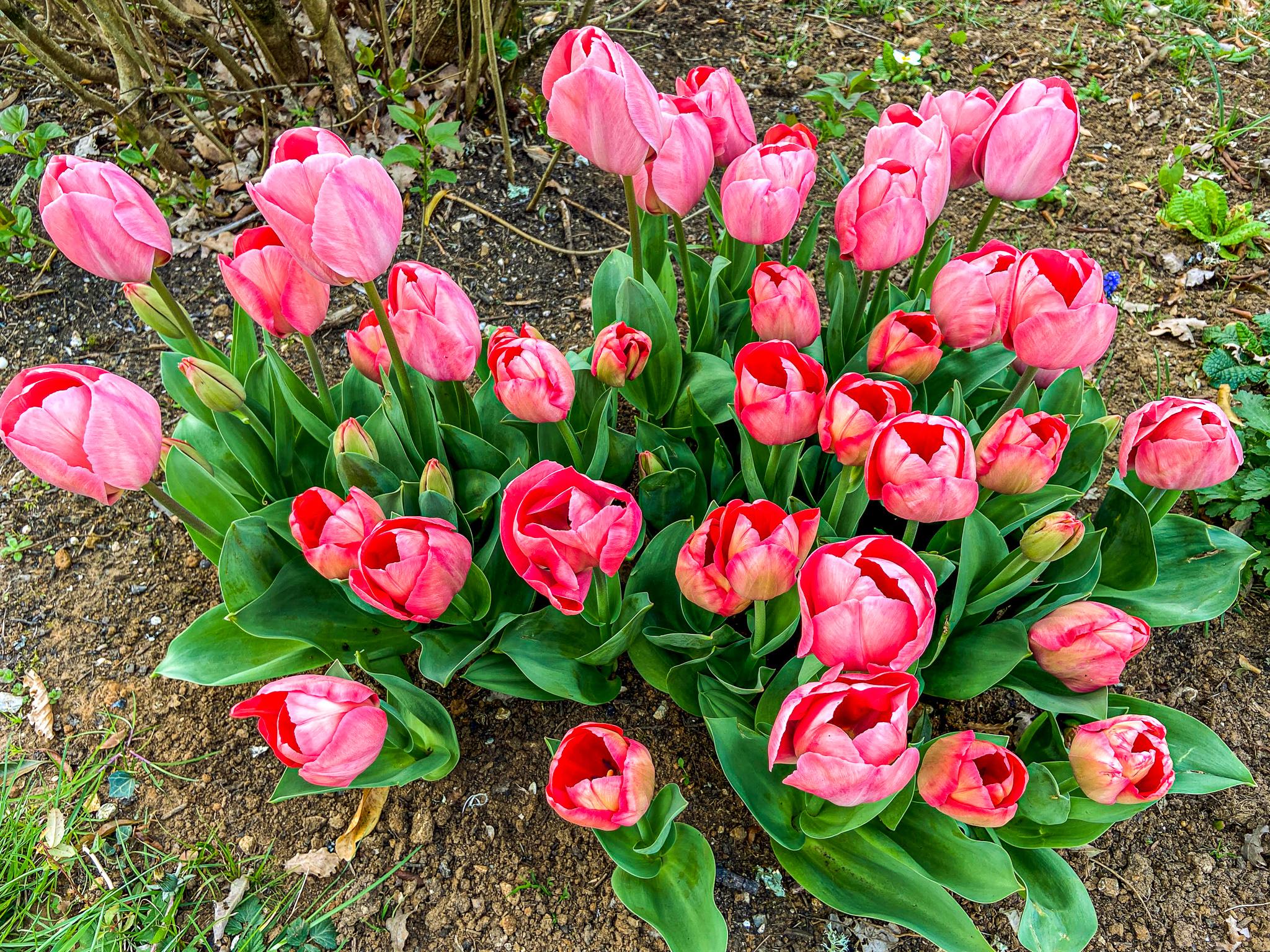 Perigord Retreats in spring